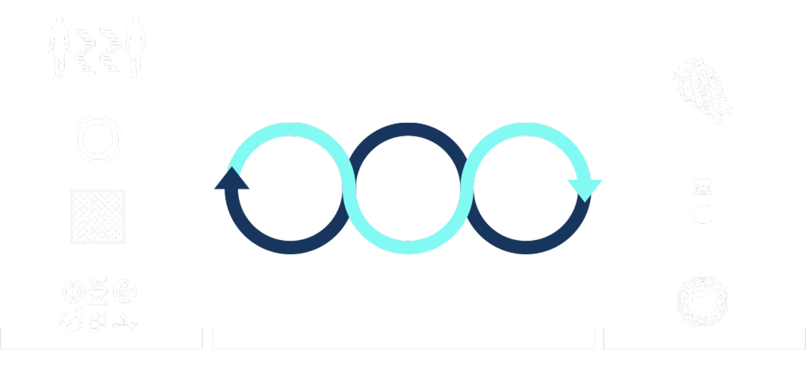 Chart For Data Input / Computational Model / Candidates